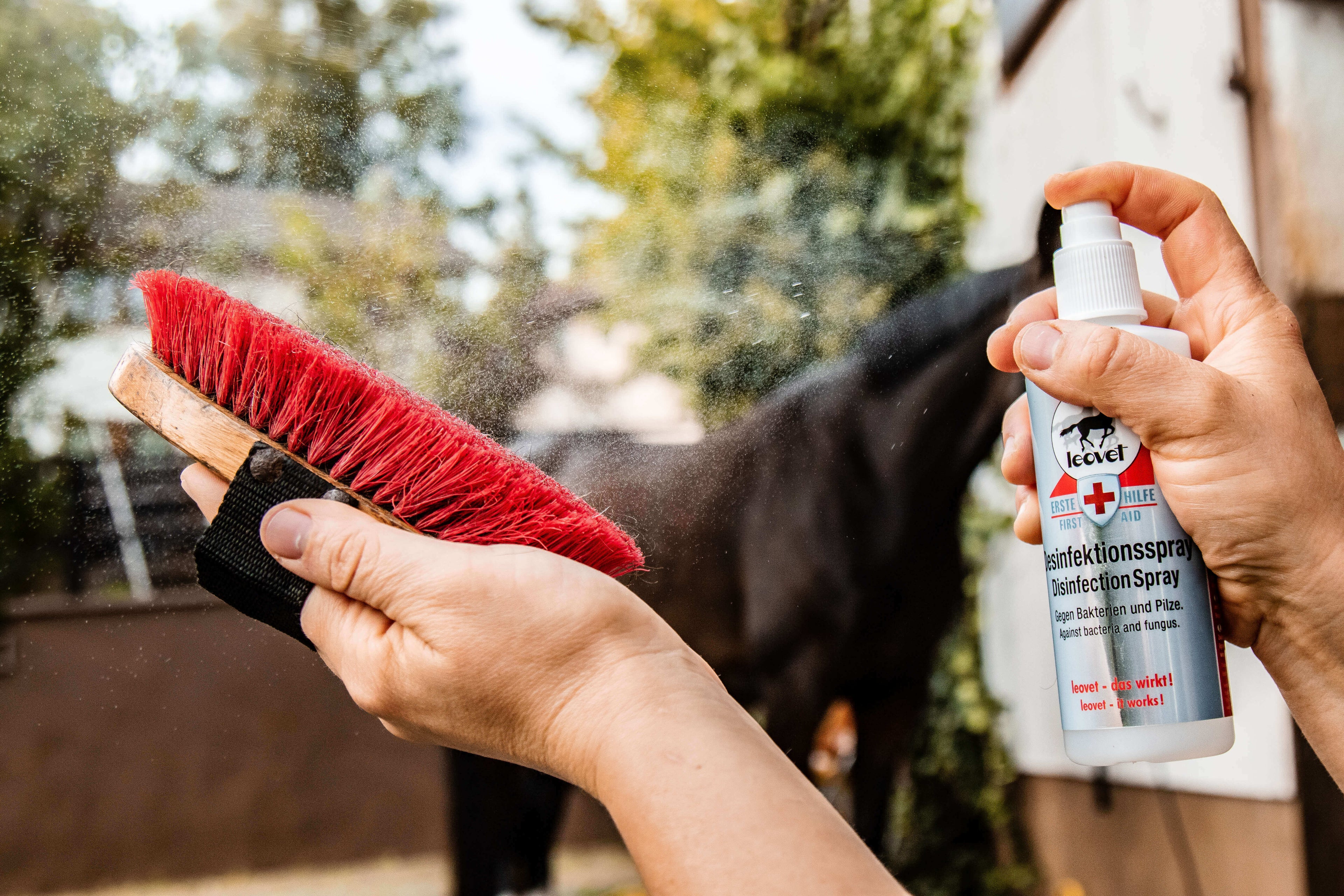 leovet Erste Hilfe Desinfektionsspray