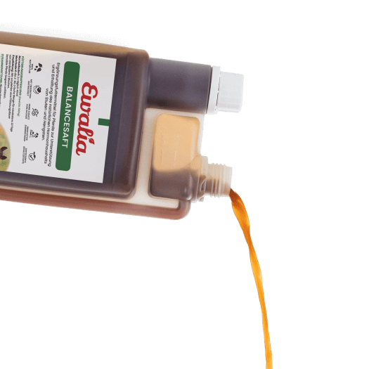 ewalia_balancesaft_greemillaa_pferdesport