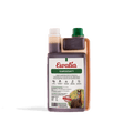 ewalia_kardesaft_greemillaa_pferdesport