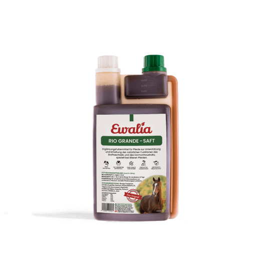 ewalia_riogrande_saft_greemillaa_pferdesport