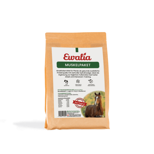 ewalia_muskelpaket_greemillaa_pferdesport