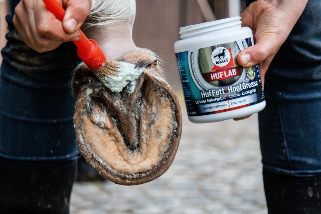 leovet HUFLAB Huf Fett