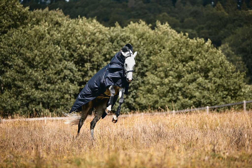 Kingsland TOP NOTCH TURNOUT RUG, 400g