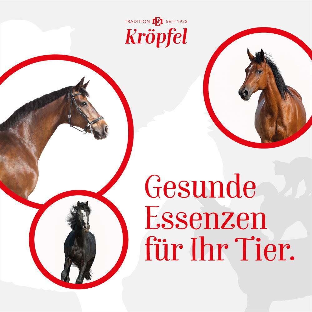 Kröpfel Muskelöl für Tiere