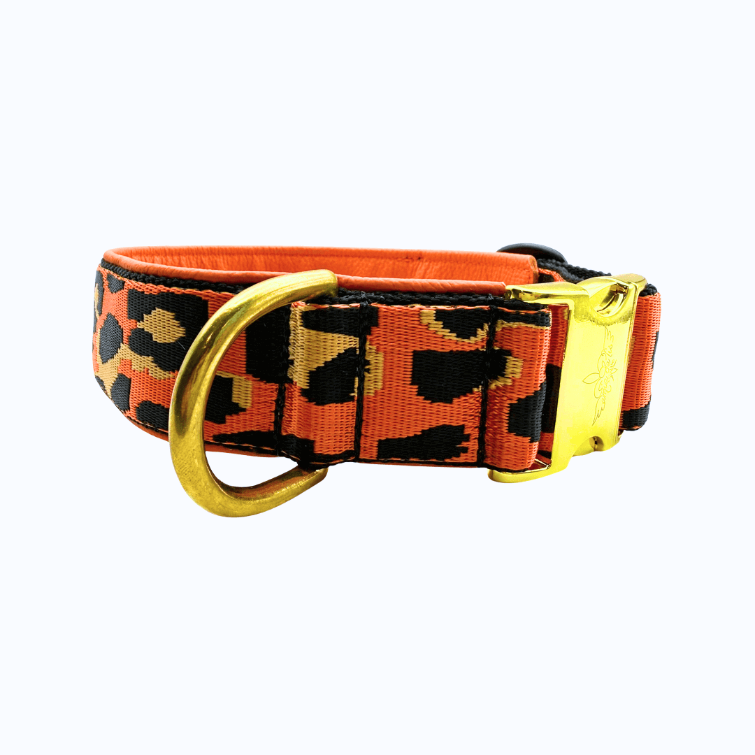 Amia De Lis Hundehalsband Leoliebe orange
