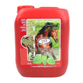 Kevin Bacons Lucy diamonds green shampoo 5L