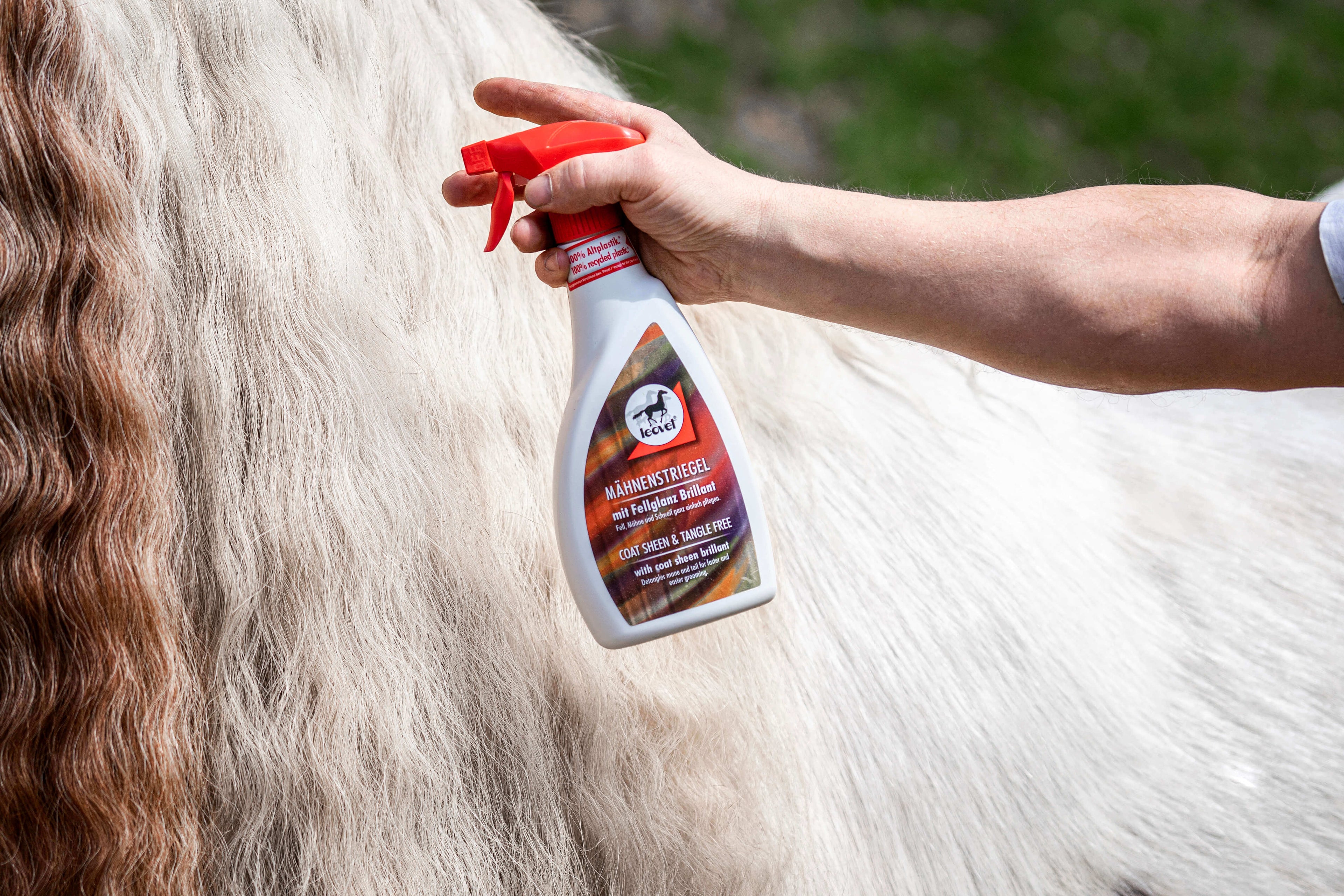 leovet Mähnenstriegel