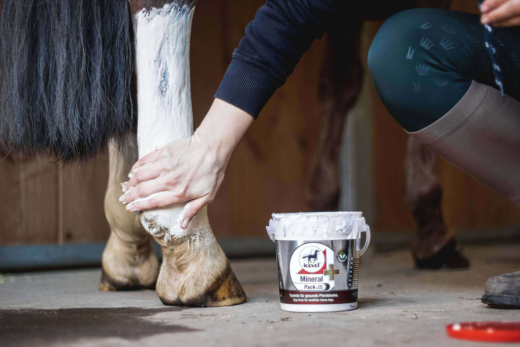 leovet Mineral Pack mit Arnika