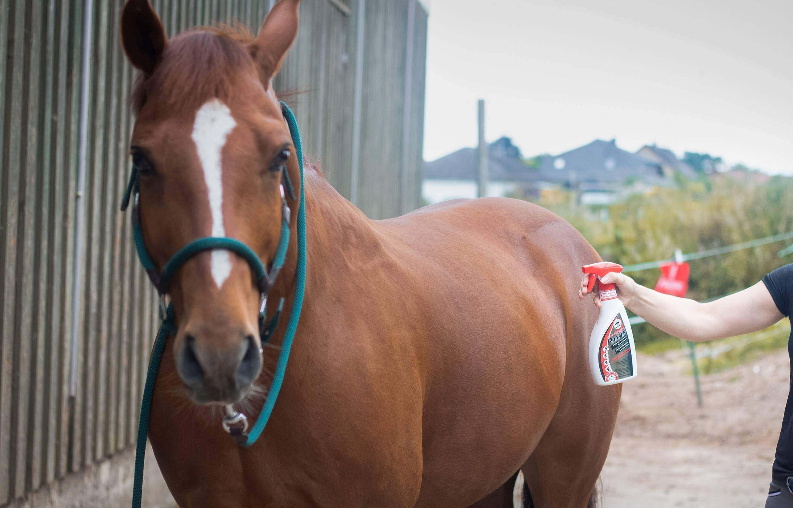 leovet Power Phaser 500 ml