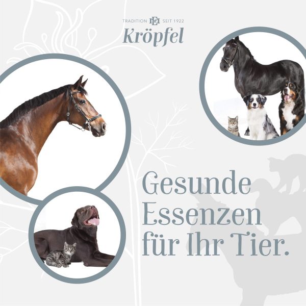 Kröpfel Schwarzkümmelöl