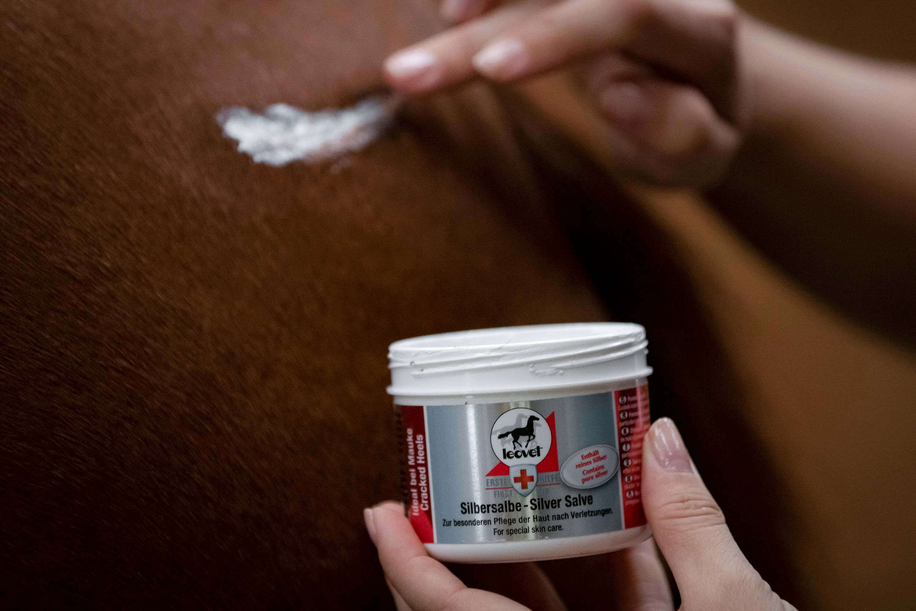 leovet Silbersalbe