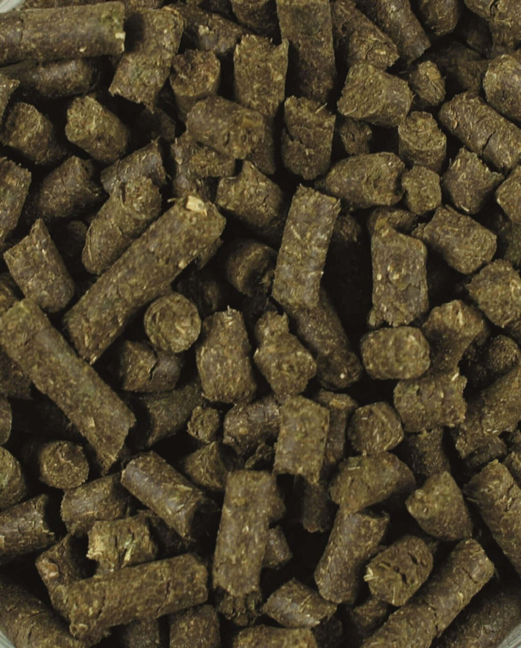 lexa_bronchi_vital_greemillaa