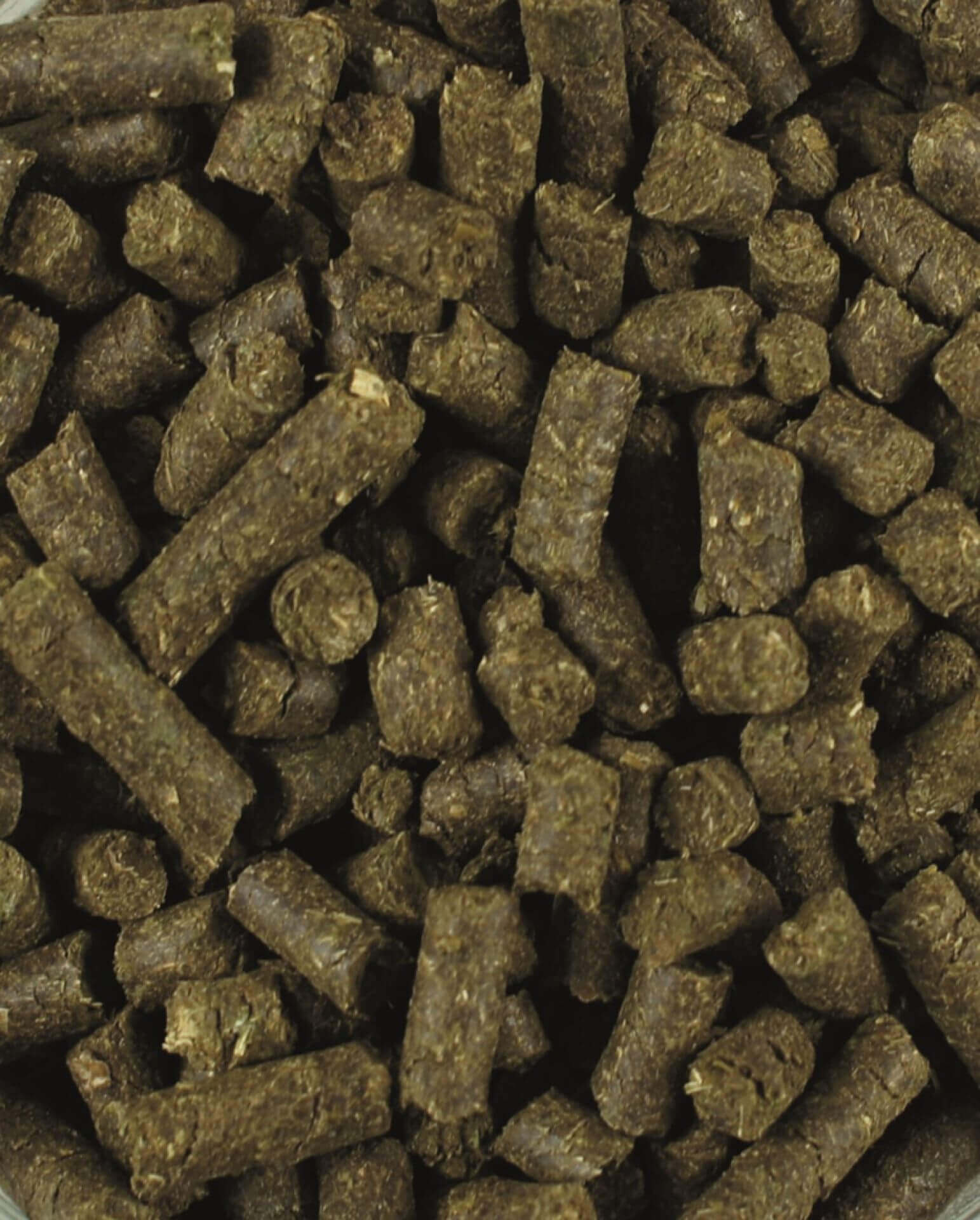 lexa_bronchi_vital_greemillaa