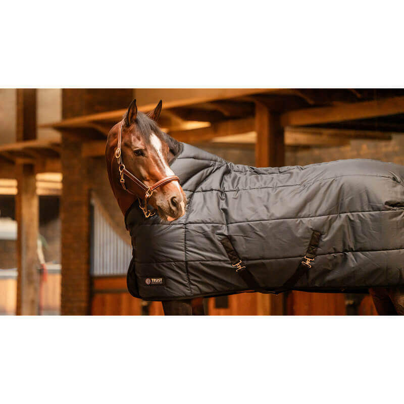 Trust Stalldecke Tetris 200g