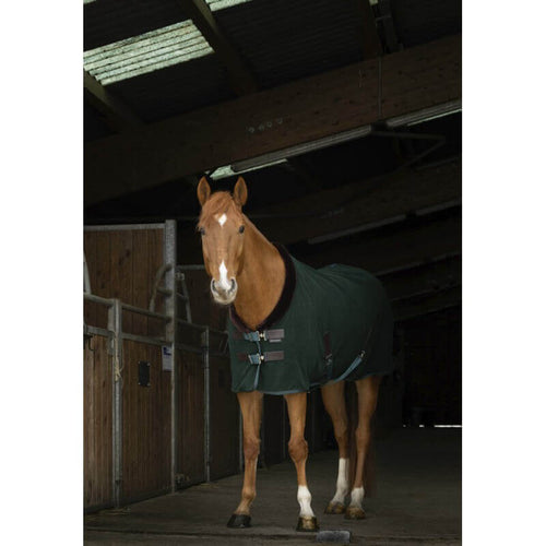 EquiThème Teddy Polarfleece Decke