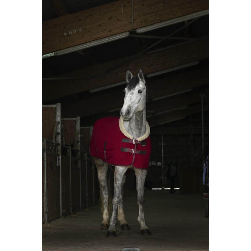 EquiThème Teddy Polarfleece Decke