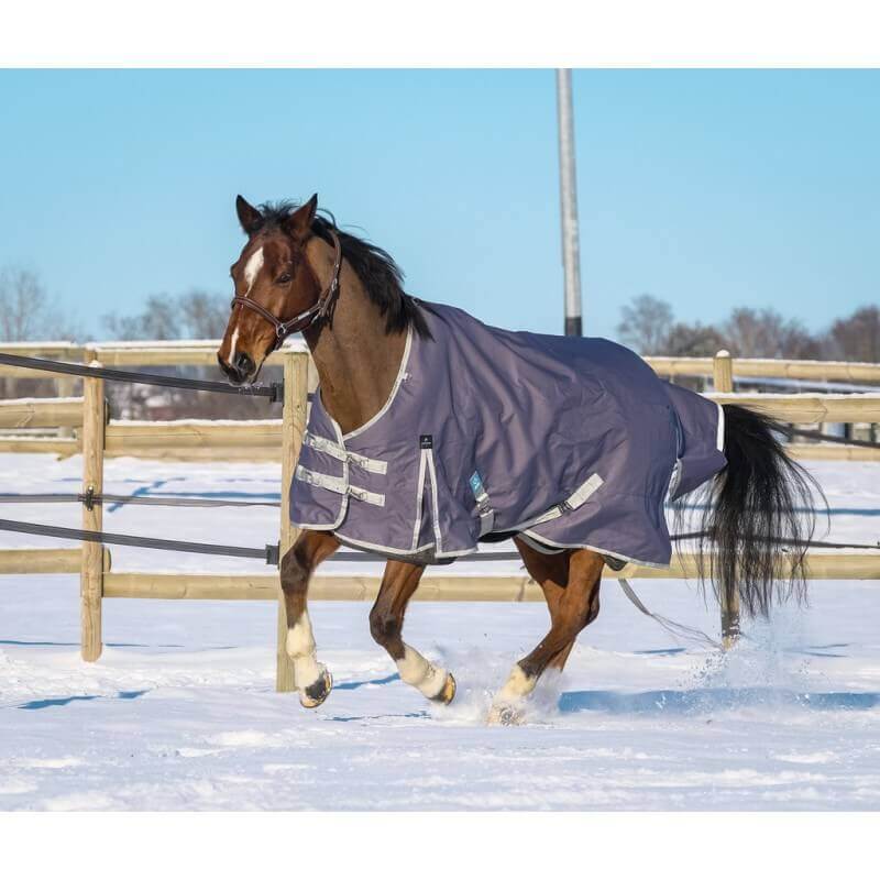 outdoordecke_recycelt_equitheme_tyrex_greemillaa-pferdesport