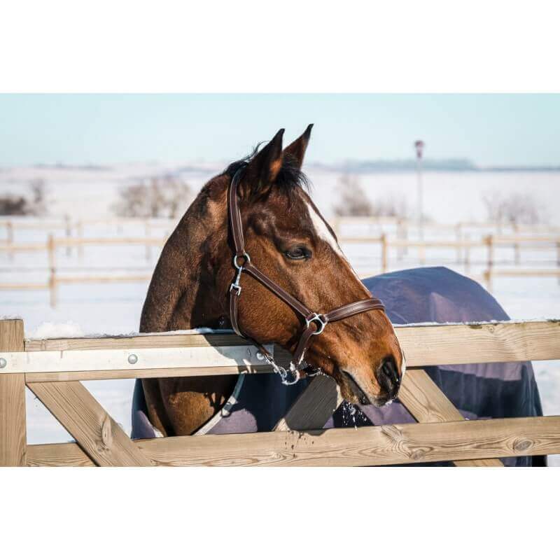 outdoordecke_recycelt_equitheme_tyrex_greemillaa-pferdesport