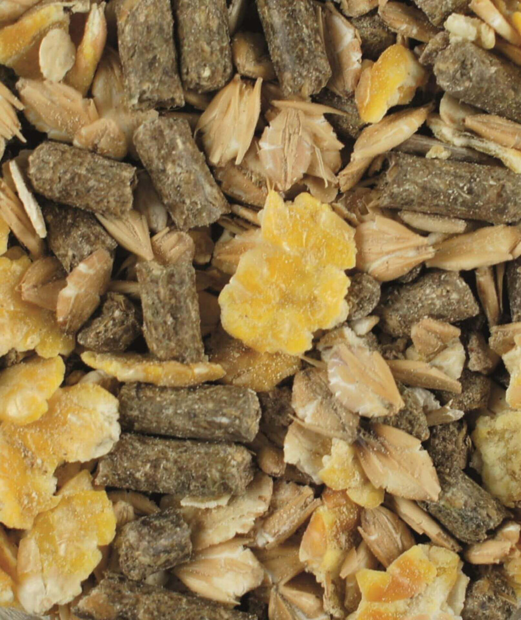 Vitalmix Fohlen 20 kg