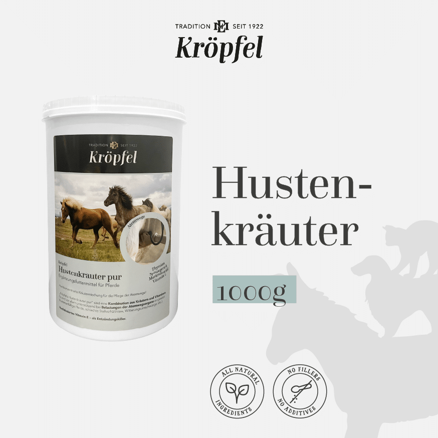 Kröpfel Hustenkräuter