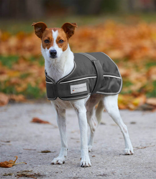 Comfort Hundedecke 200g
