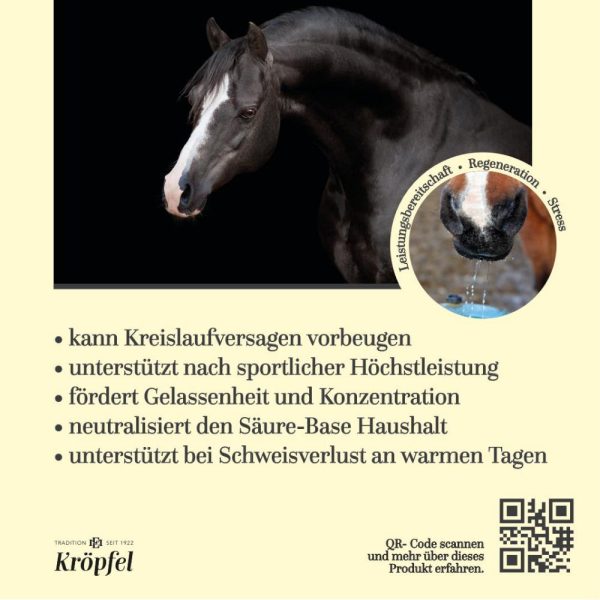 Kröpfel Electrolyte Liquid Plus
