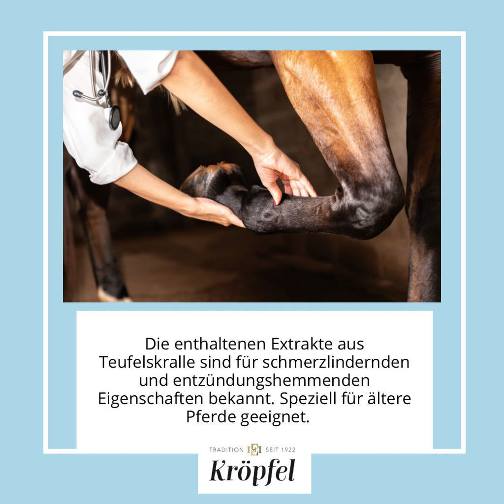 Kroepfel All Around Senior Liquid