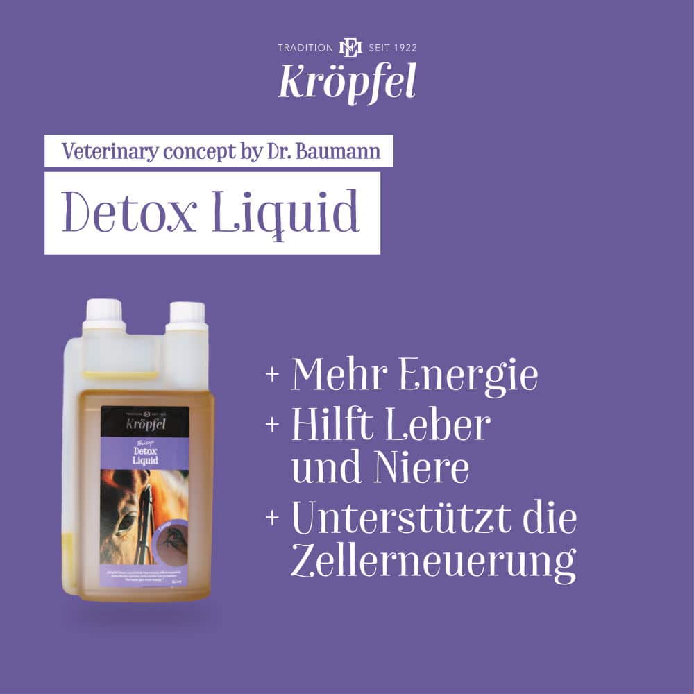 Kröpfel Detox Liquid