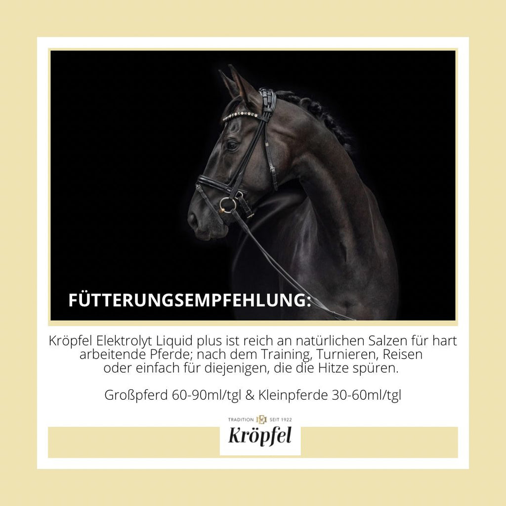 Kröpfel Electrolyte Liquid Plus