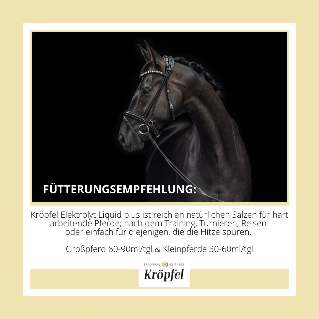 Kröpfel Electrolyte Liquid Plus
