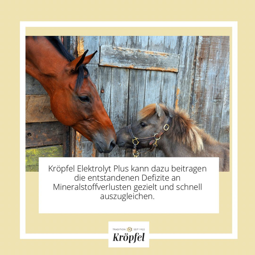 Kröpfel Electrolyte Liquid Plus