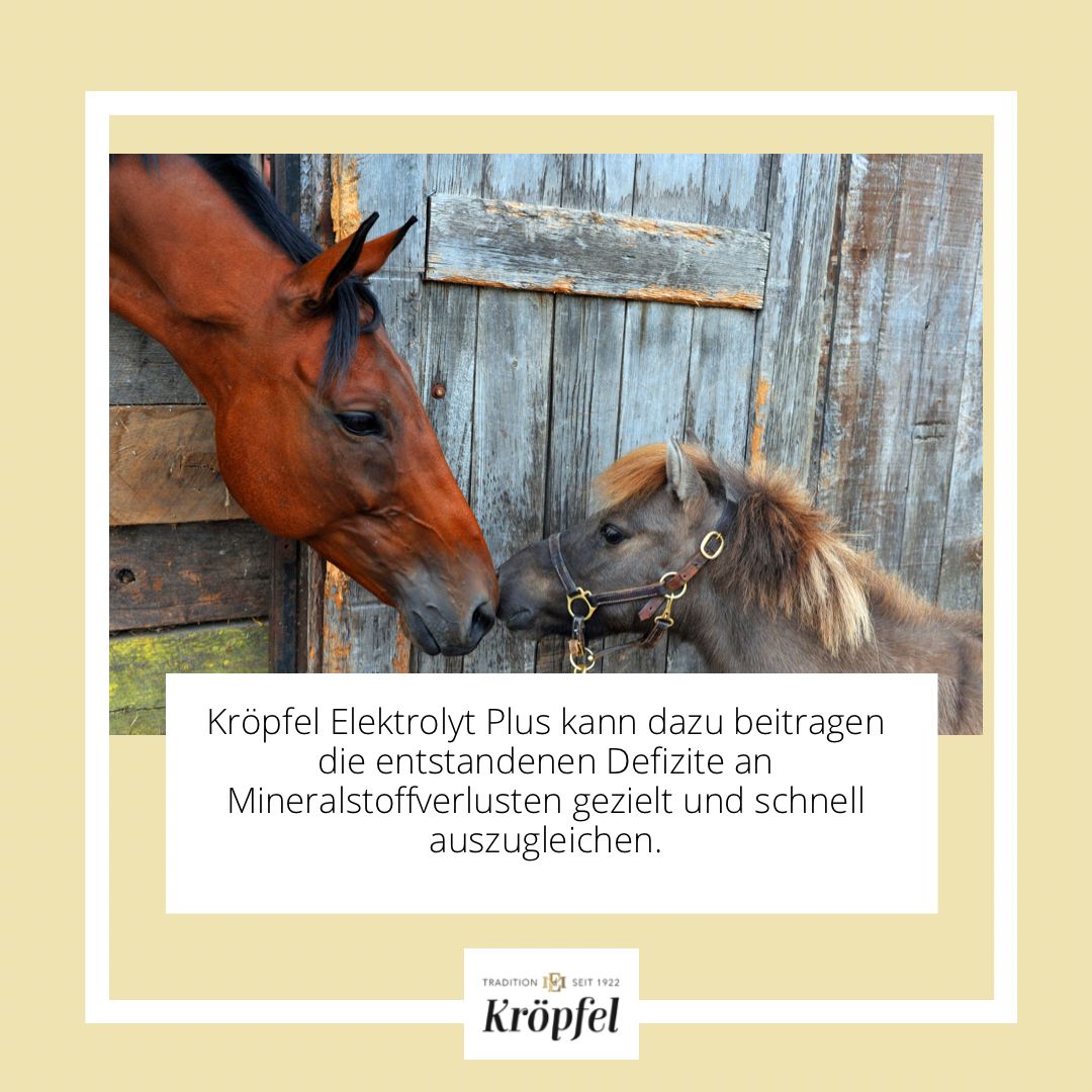 Kröpfel Electrolyte Liquid Plus