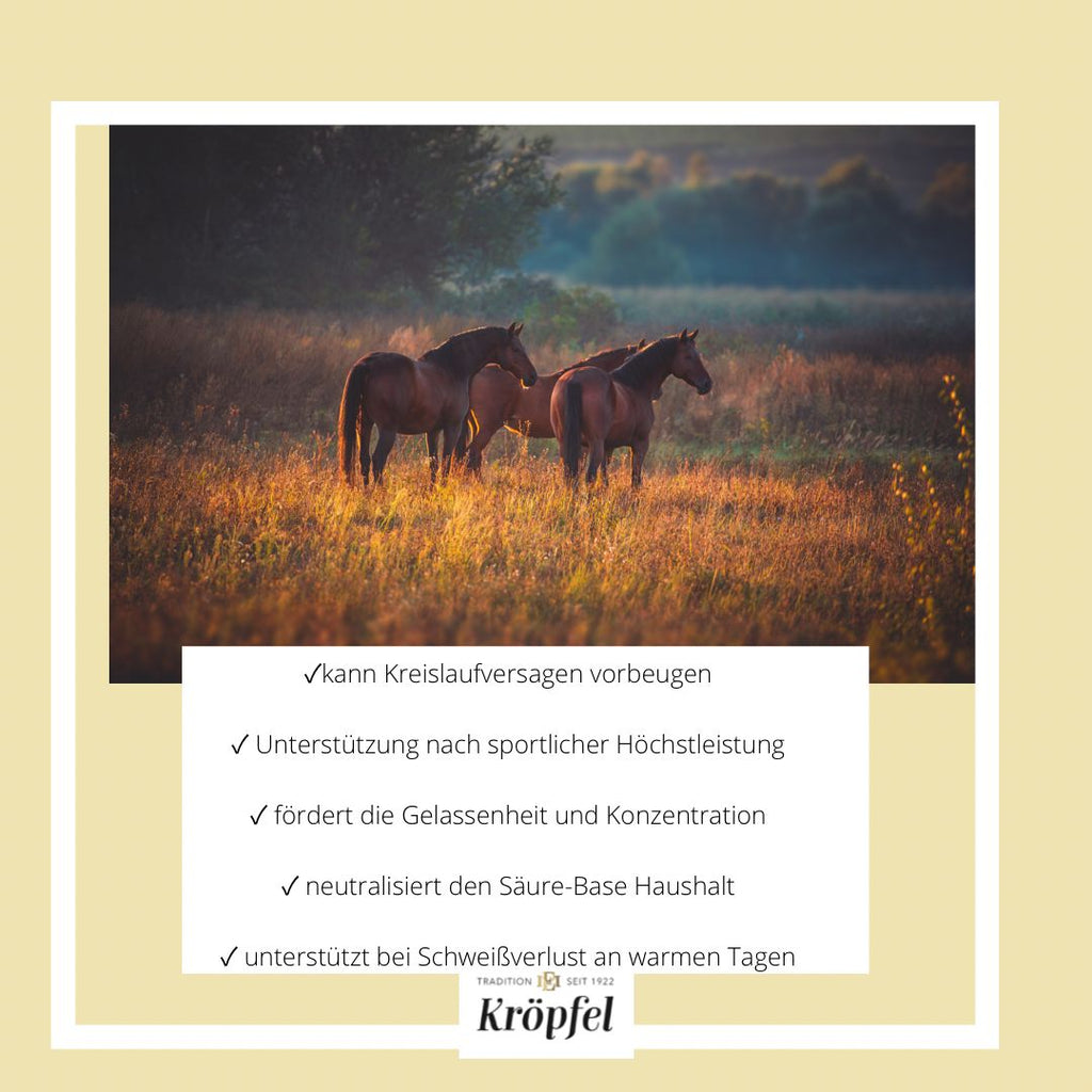 Kröpfel Electrolyte Liquid Plus