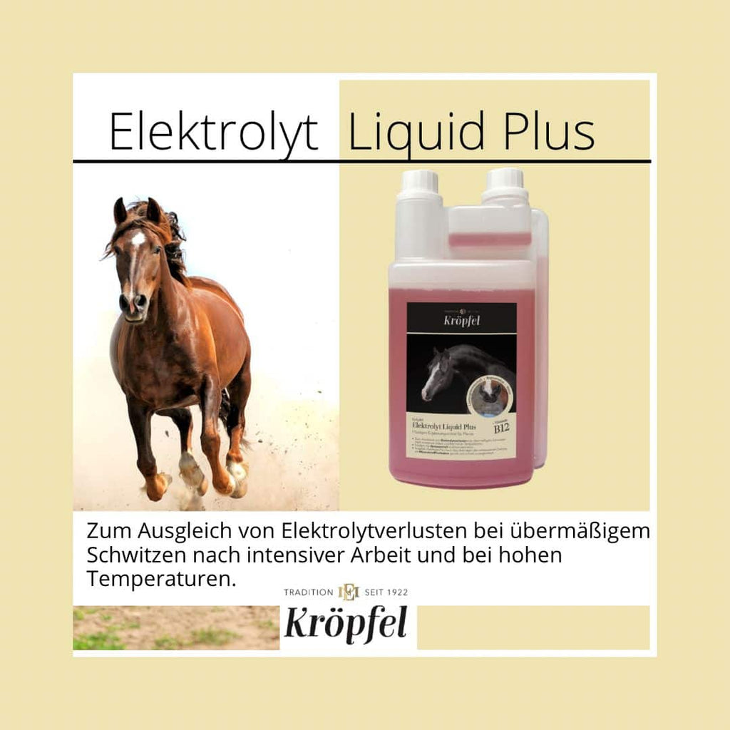 Kröpfel Electrolyte Liquid Plus