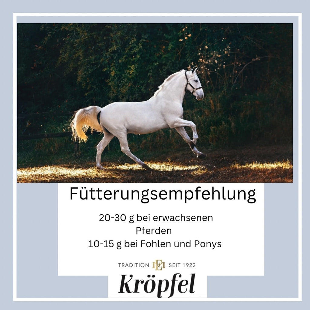Kröpfel Hustenkräuter
