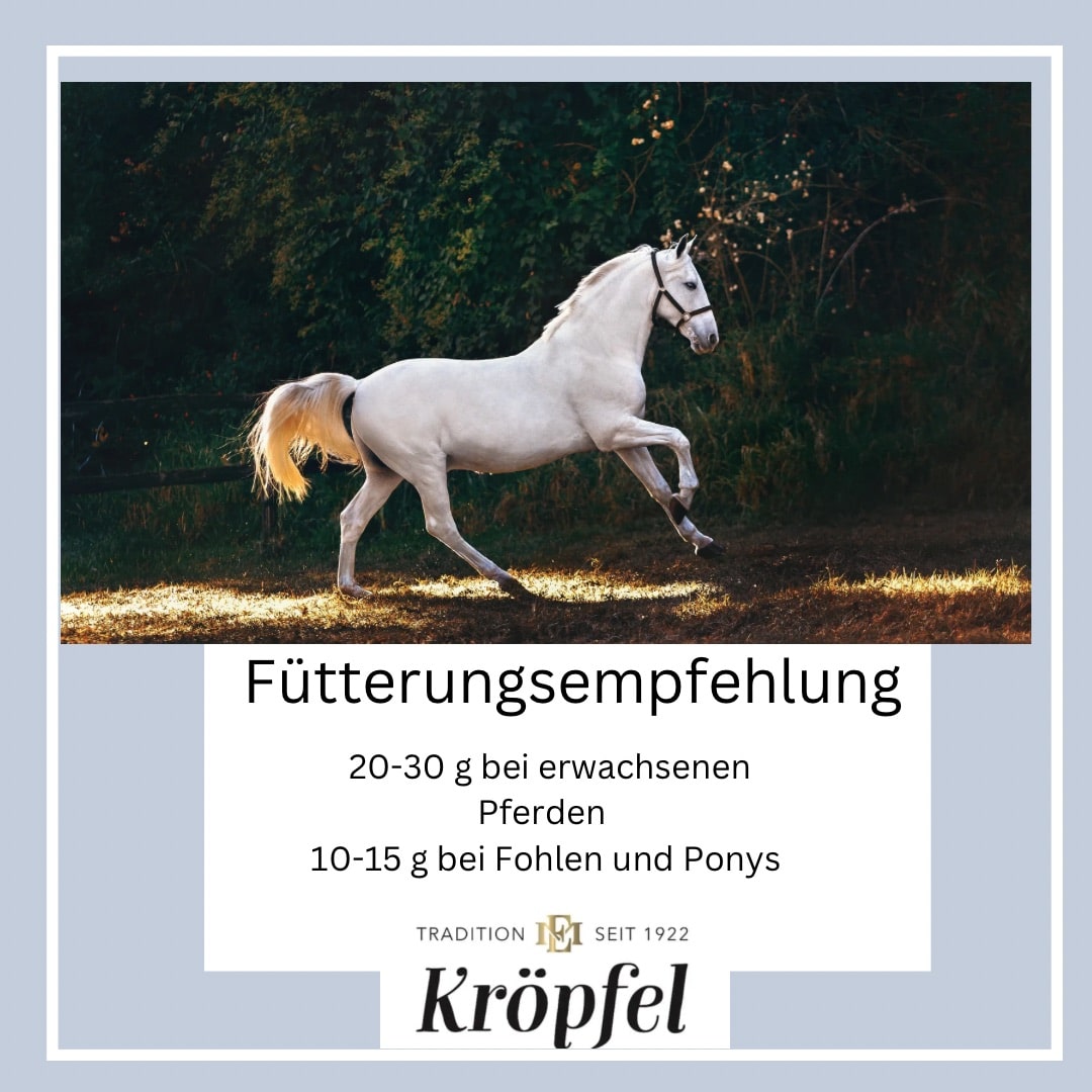 Kröpfel Hustenkräuter