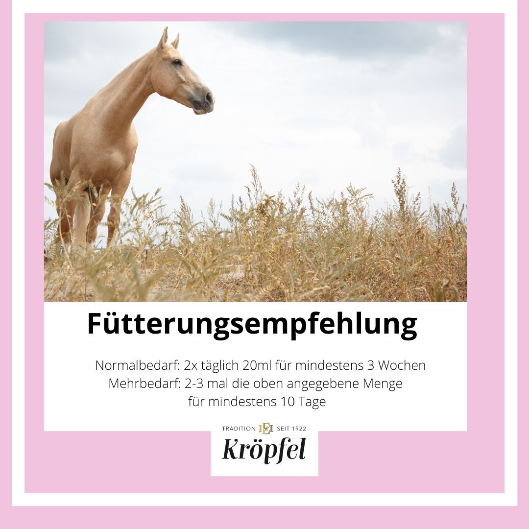 Kröpfel Immun & Fit