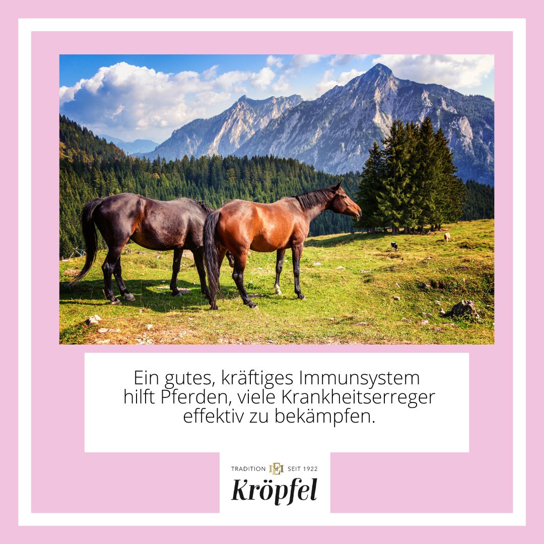Kröpfel Immun & Fit
