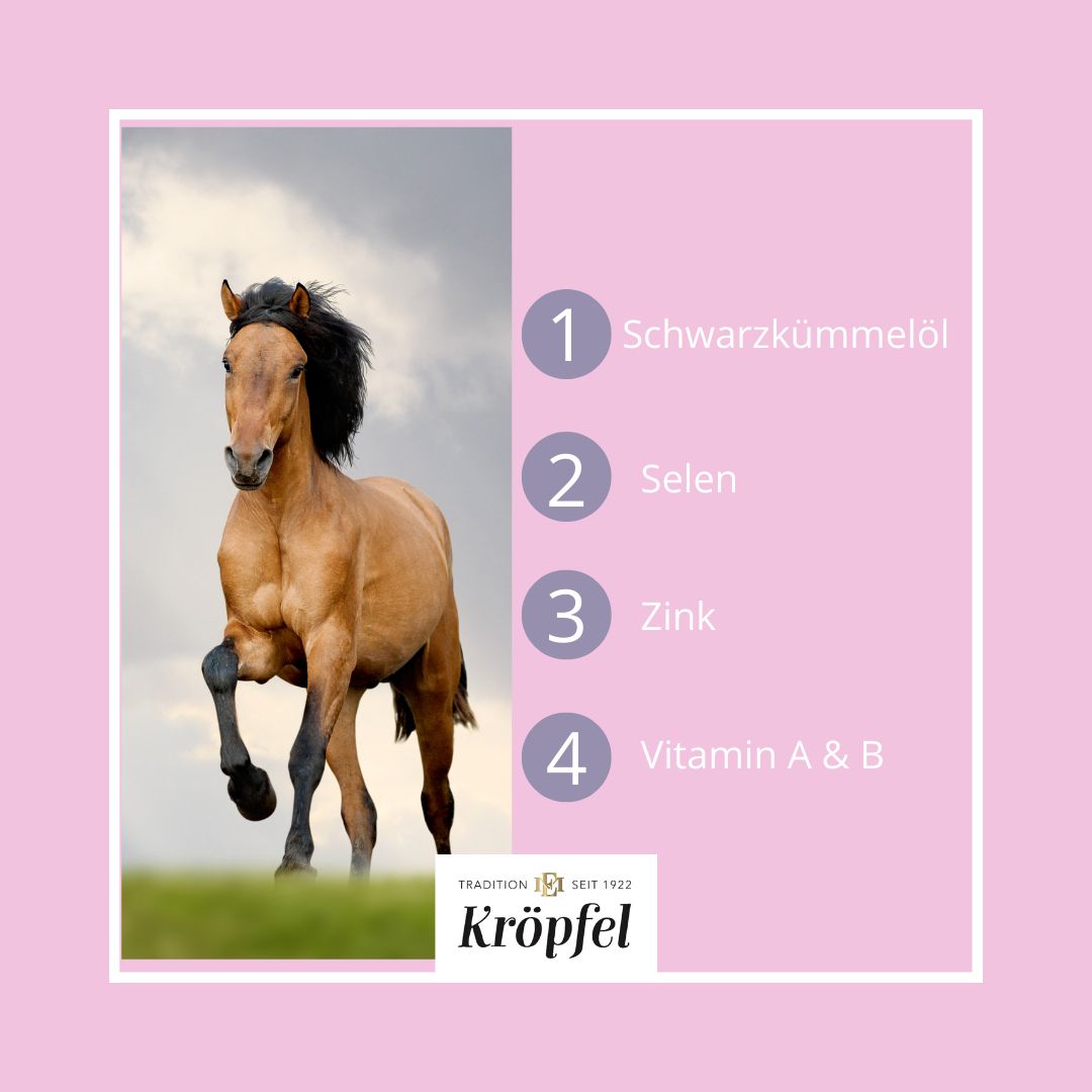 Kröpfel Immun & Fit