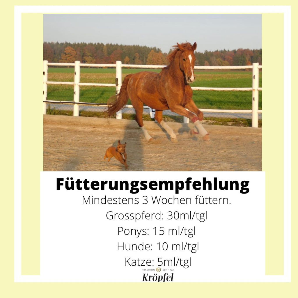 Kröpfel Teufelskralle Liquid
