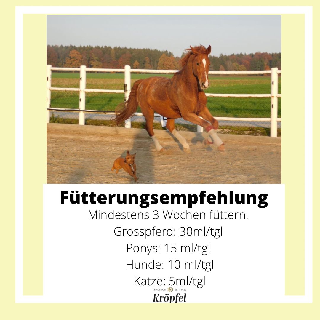 Kröpfel Teufelskralle Liquid