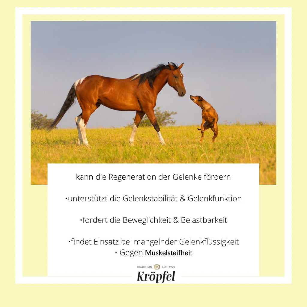 Kröpfel Teufelskralle Liquid