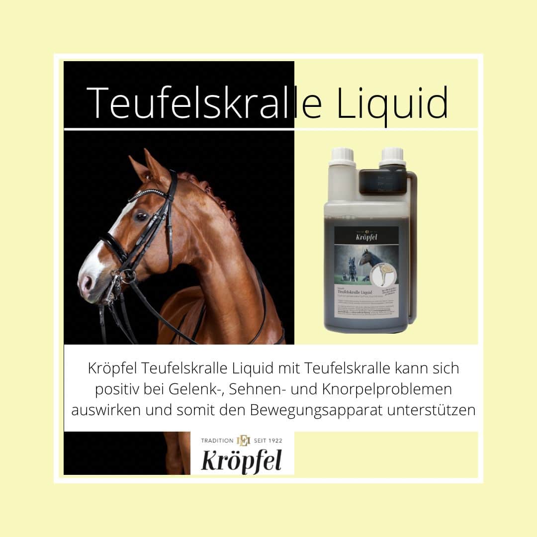 Kröpfel Teufelskralle Liquid