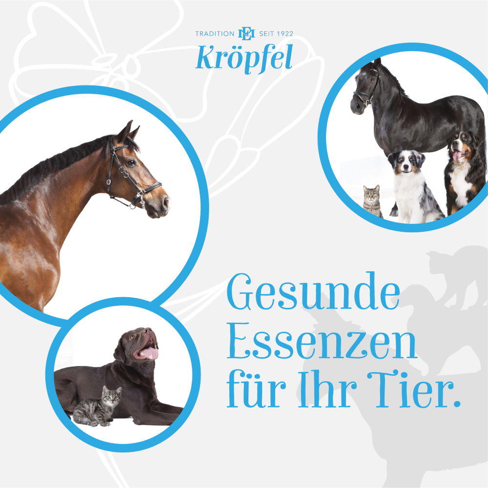 Kröpfel Leinöl