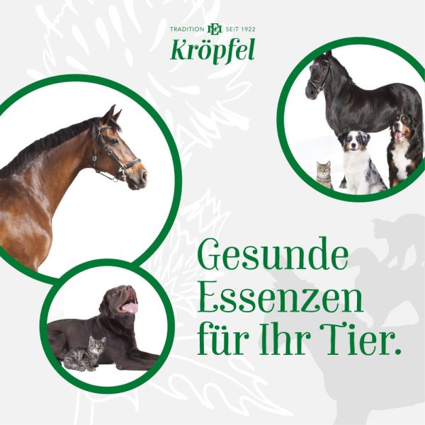 Kröpfel Vitalöl für Tiere