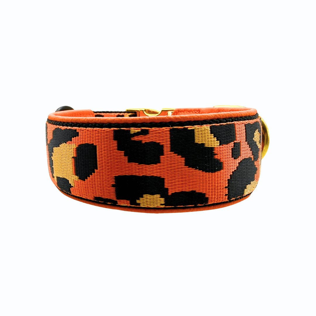 Amia De Lis Hundehalsband Leoliebe orange