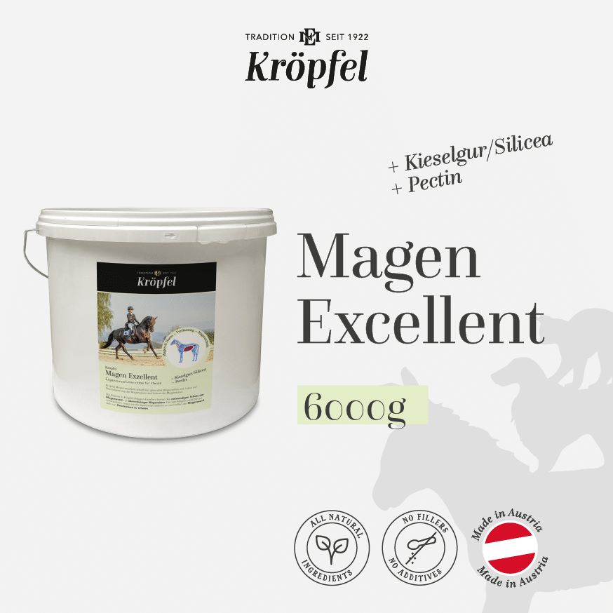Kröpfel Magen Exzellent
