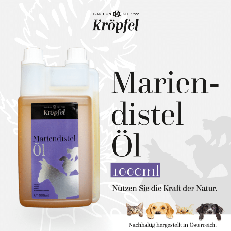 Kröpfel Mariendistelöl