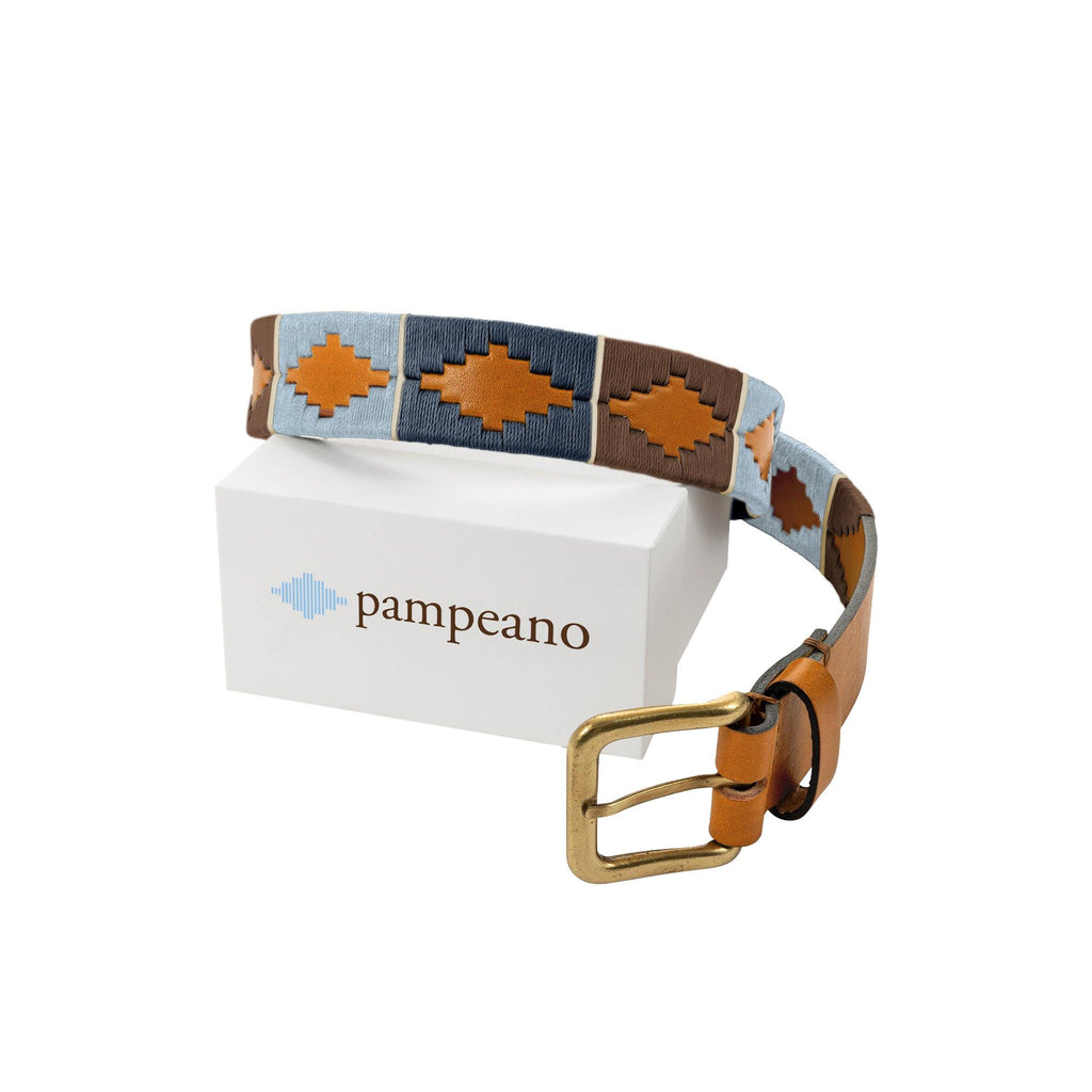 Pampeano Gürtel Arenoso