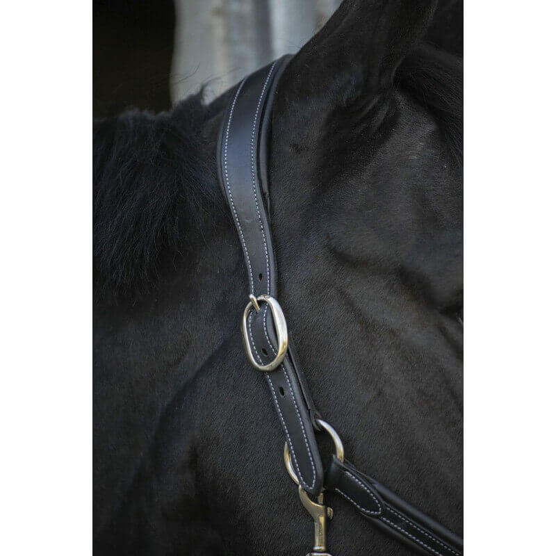 Penelope Lederhalfter „Point Sellier“ schwarz